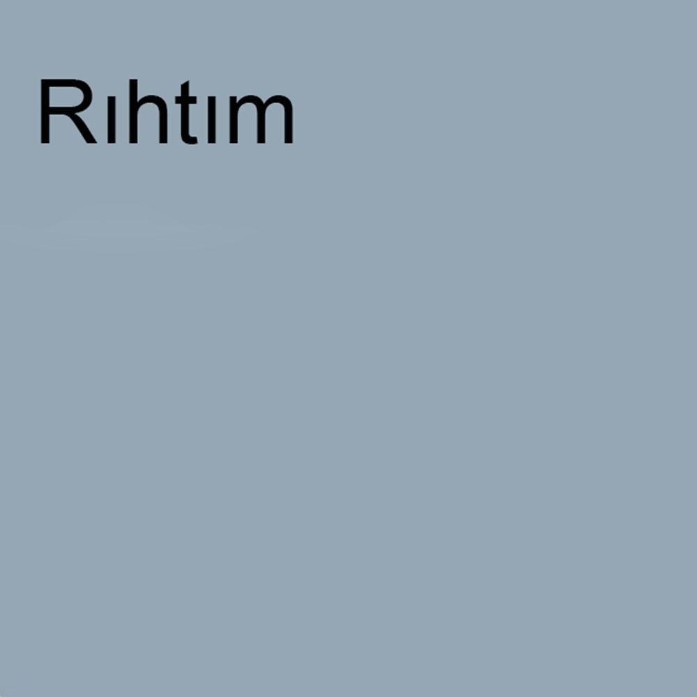 Maximum Mat Silikonlu Rıhtım 2,5 Lt. (3,5 Kg)