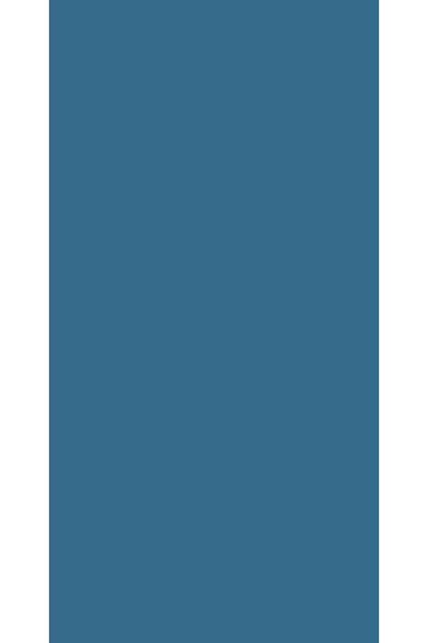 Aqua Pro RAL 5007 Brillantblau Metal Boyası 0,9 LT