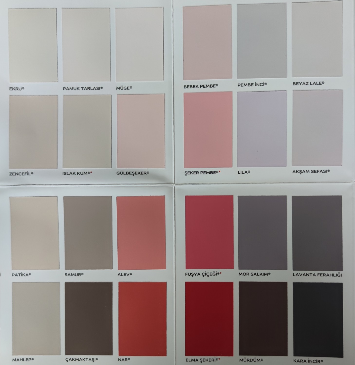 Panel Kapı Boyası ve Boyama Seti 2,5l.