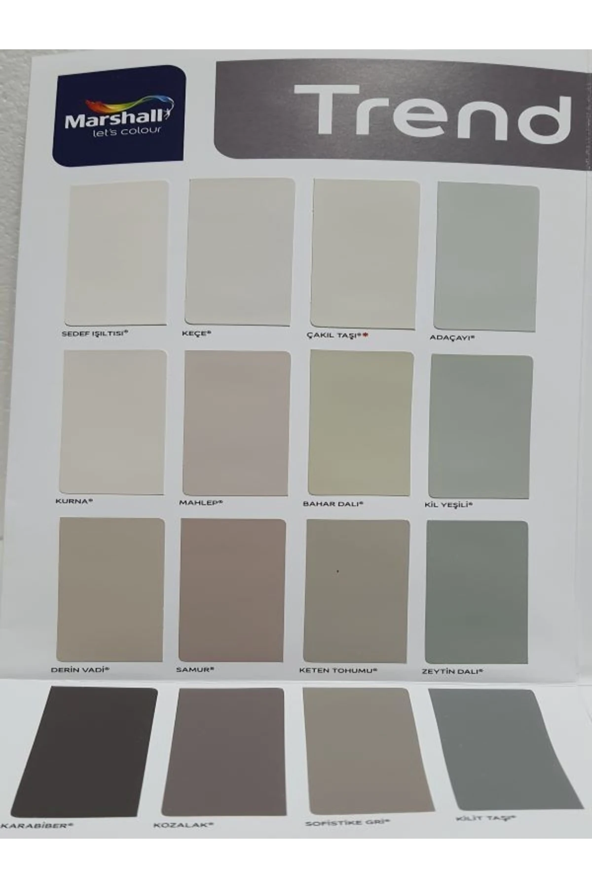 Silikonlu Özel Mat Boya Badem Ezmesi 2,5lt