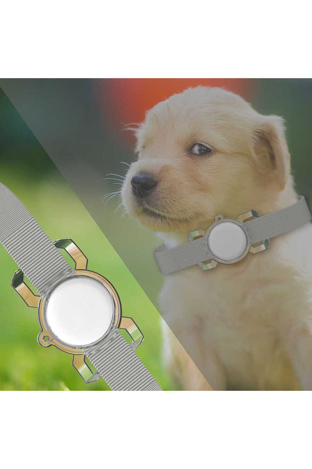 TKDR Airtag 06 Uyumlu Silikon Anahtarlık-Renksiz