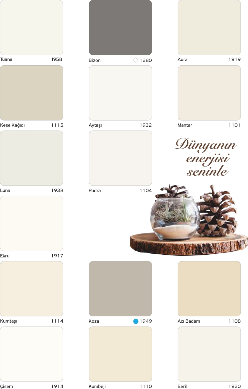 Momento Silan 15 Lt Renk: Luna