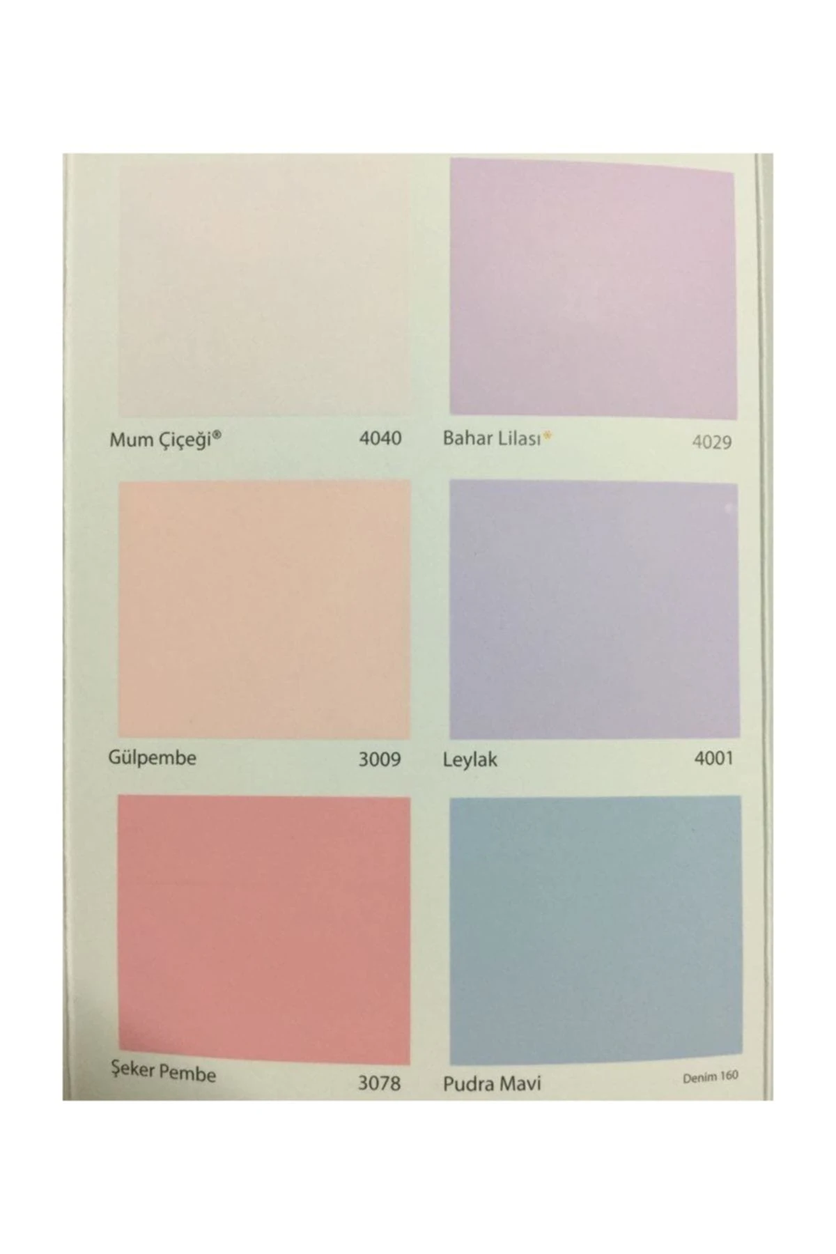 20 Kg Plastik Boya+10 Kg Tavan Extra+Hediye Kadife Çiçeği