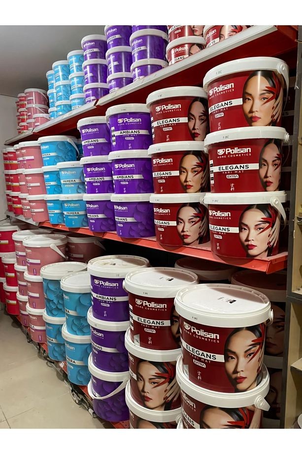 Elegans Yarı Mat Extra Silinebilir Küf Önleyeci Iç Çephe Boyası 15 Lt (sınırsız Renk)