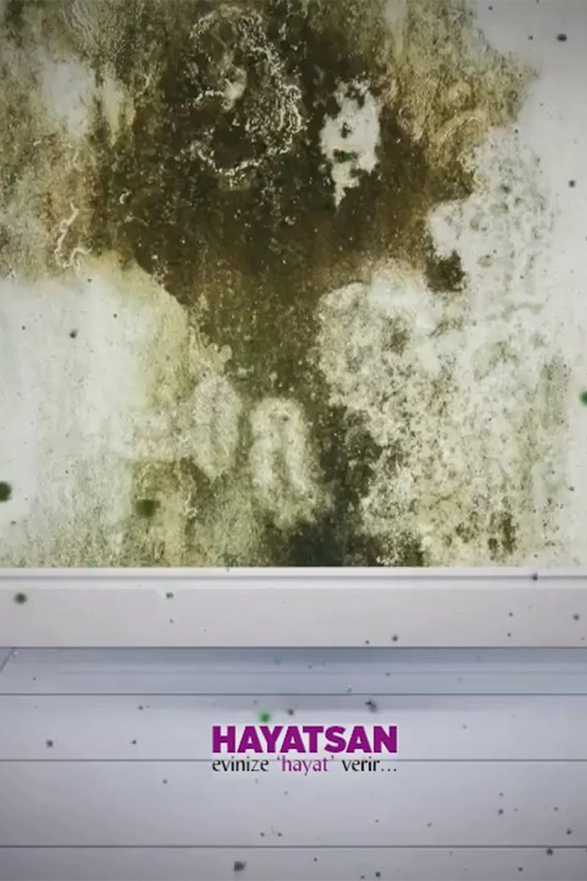 Momento Silan-CLEANİX - Küf ve Bakterilere karşı etkin koruma- Palazzo serisi