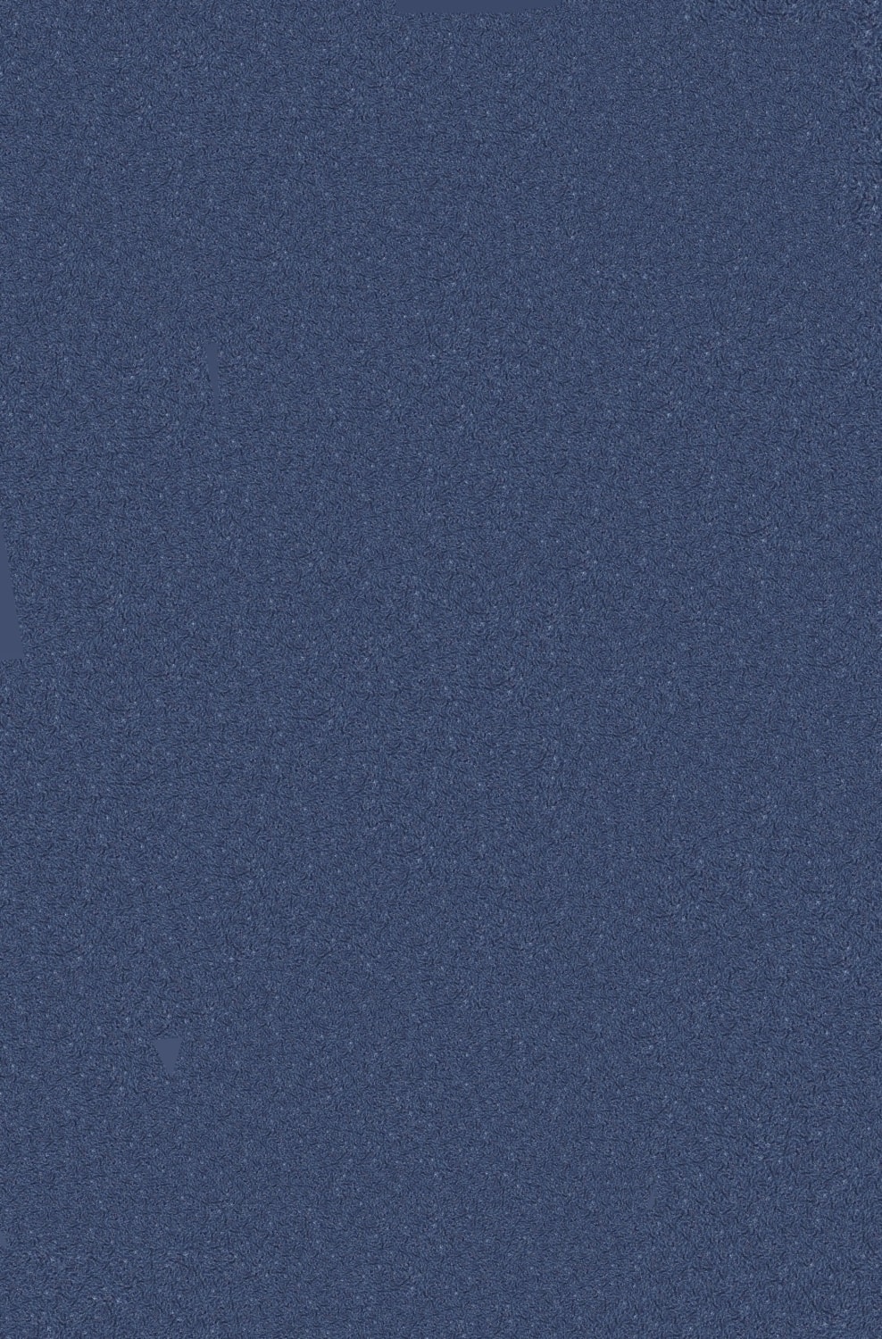 Izojel Organik Ipek Sıva - IZO-014 -Dekoratif Yalıtım Sıvası - Ses & Isı & Nem Yalıtımı