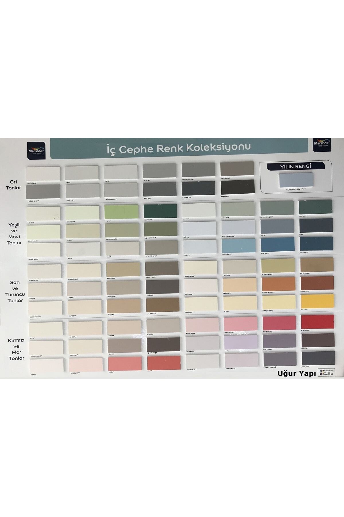 Silikonlu Özel Mat Iç Cephe Duvar Boyası 2.5 l+ Tavan Boyası 3.5 kg + Duvar Boyama Seti