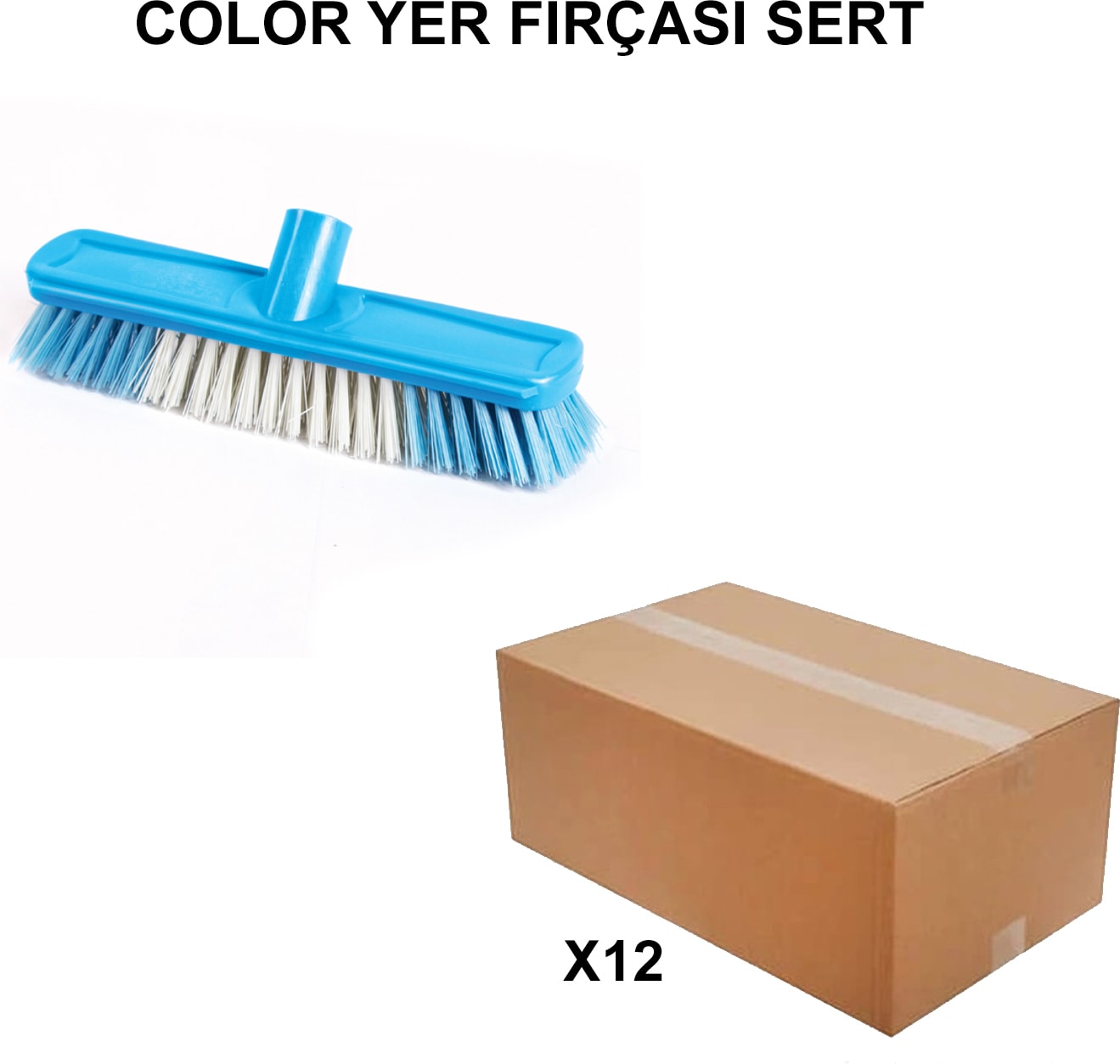 Ege ArgeToptan Color Yer Fırçası Sert - 12 Adet 001336