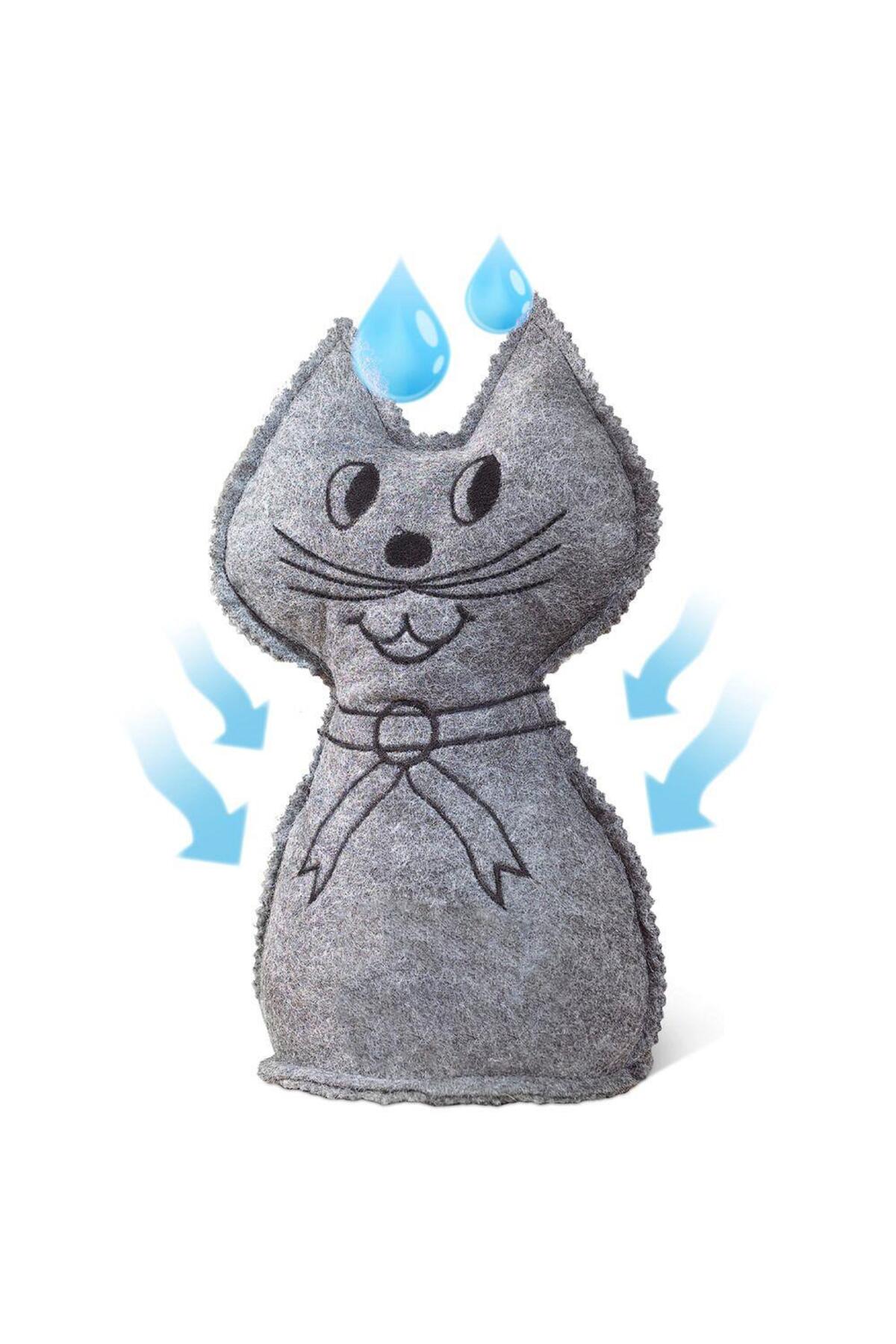 1 Kg Kedi Nem Alıcı Rutubet Giderici