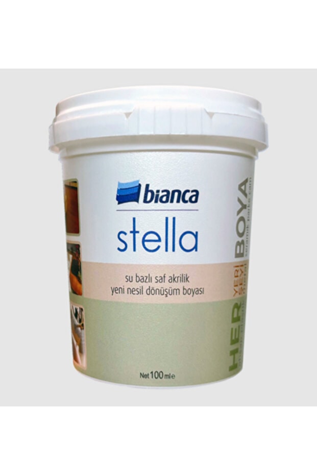 Stella Mini Dönüşüm Boyası 100 Ml Tava Rulo Fırça Set