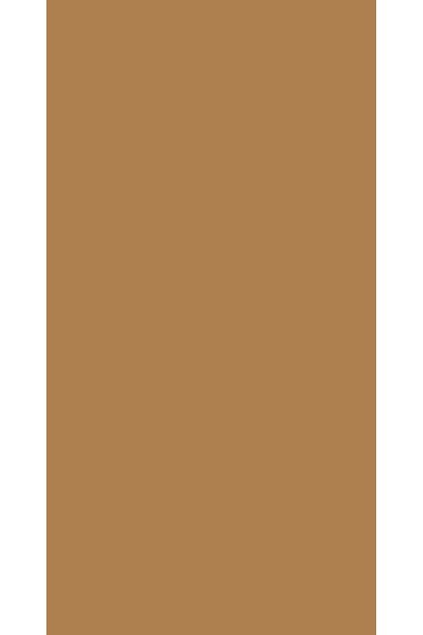 Aqua Pro RAL 1011 Braunbeige Metal Boyası 2,25 LT