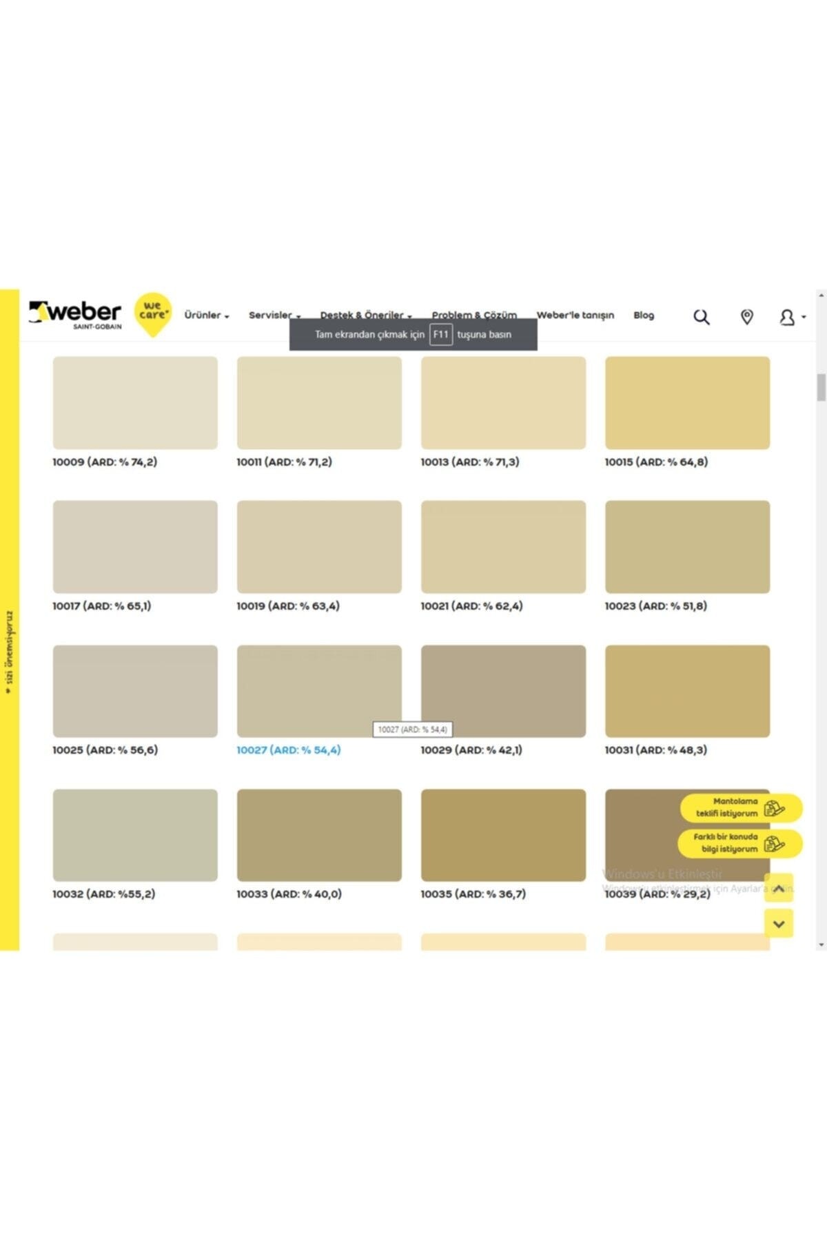 Dış Cephe Silikonlu Boya
