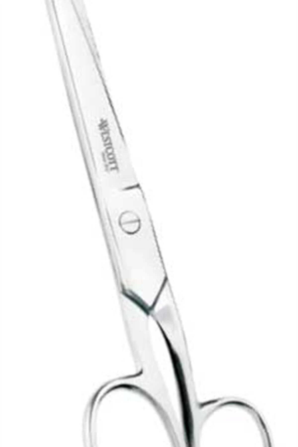 Makas Stainless Steel 21 Cm 84E30882