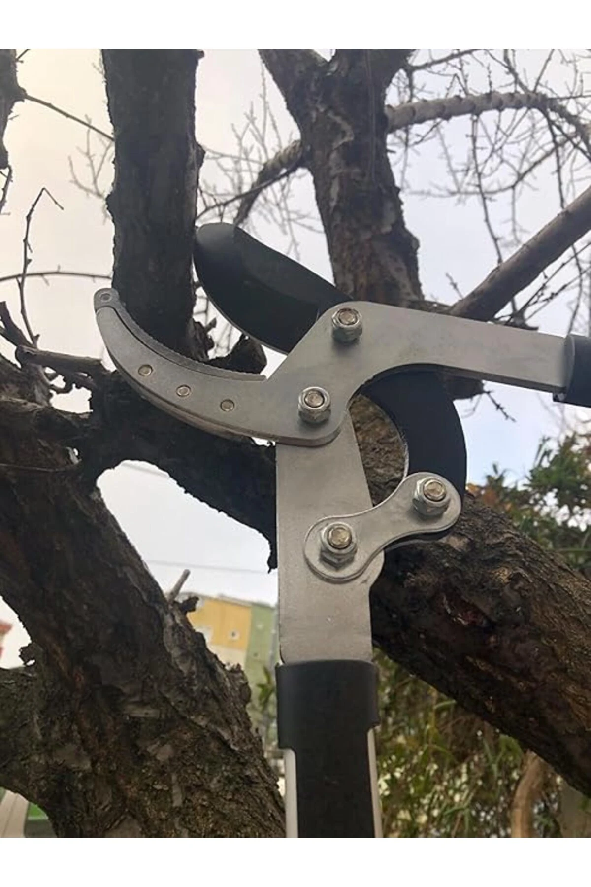 Uzatmalı Dal Budama Makası 5cm Ağız Çelik Bıçaklı Ayarlanabilir Sap Uzayan Kollu Makas
