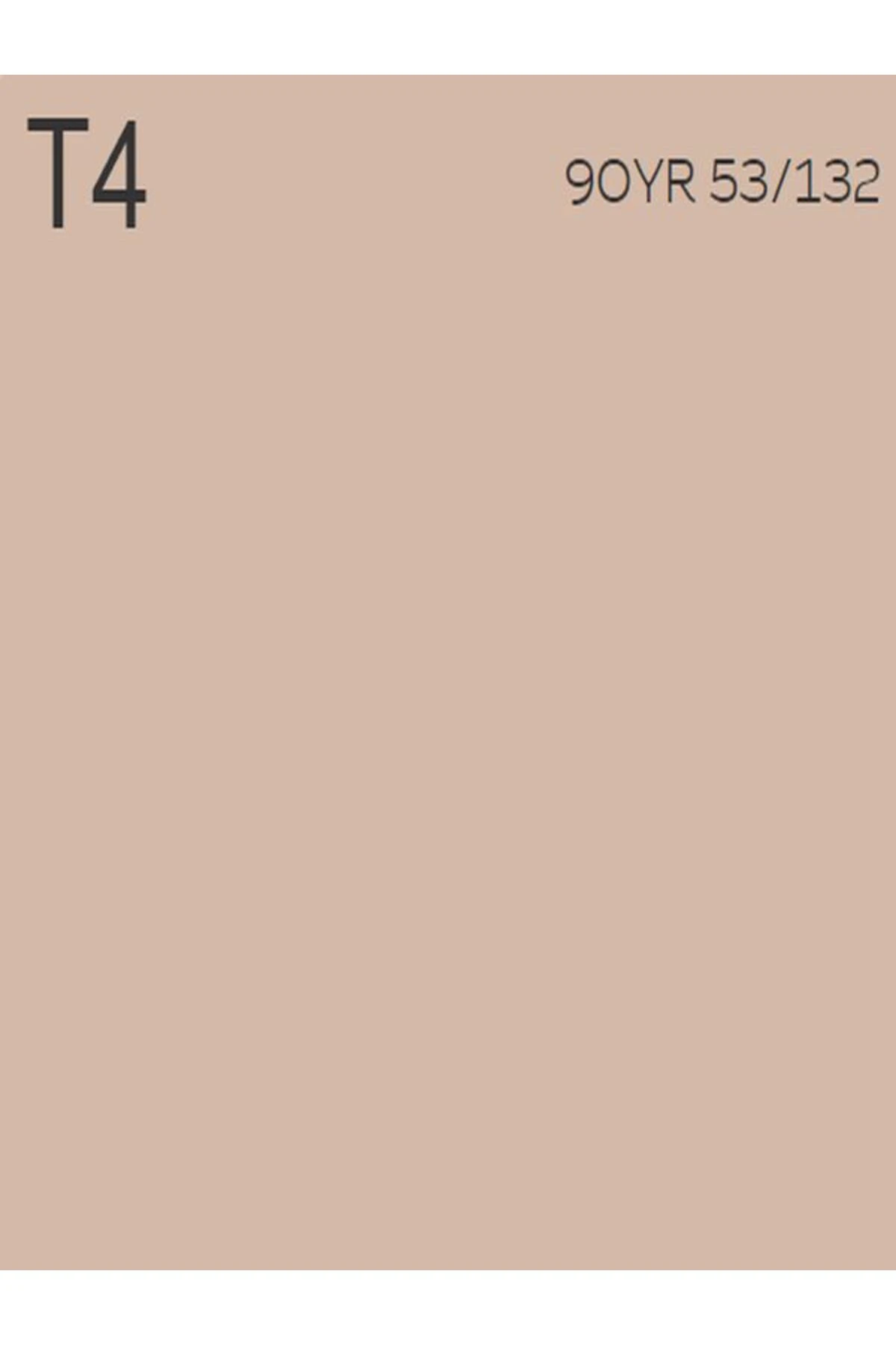 Akrikor Elastomerik Boya T4 2.5 Lt (3,5 Kg)