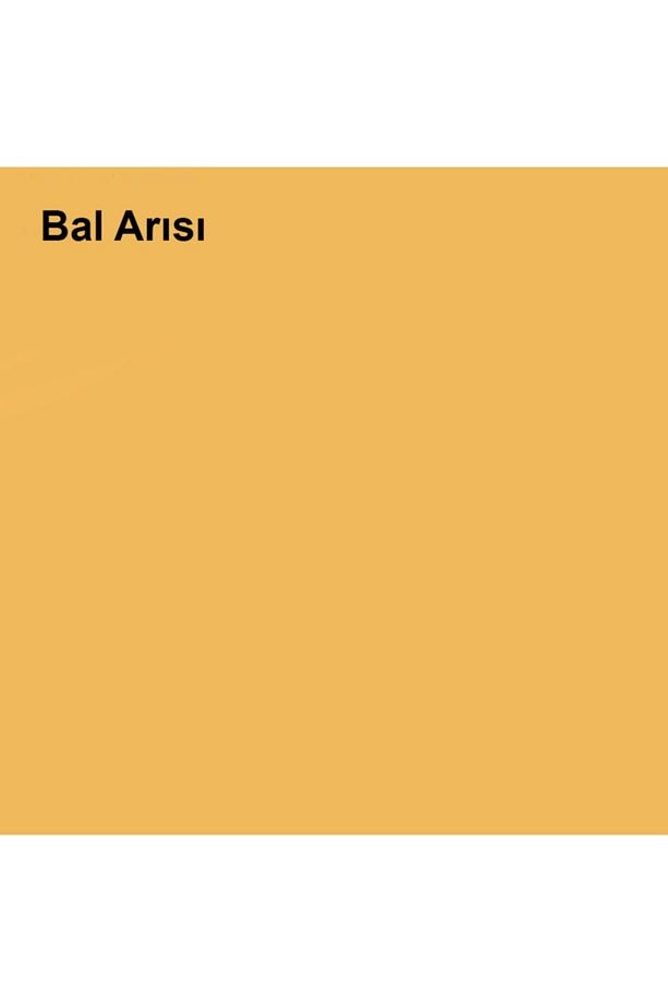 Plastik Mat Silinebilir Iç Cephe Boyası Bal Arısı 15 Lt (20 Kg)
