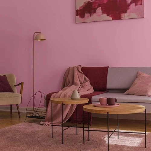 Tek Katta Örten Boya Petunya