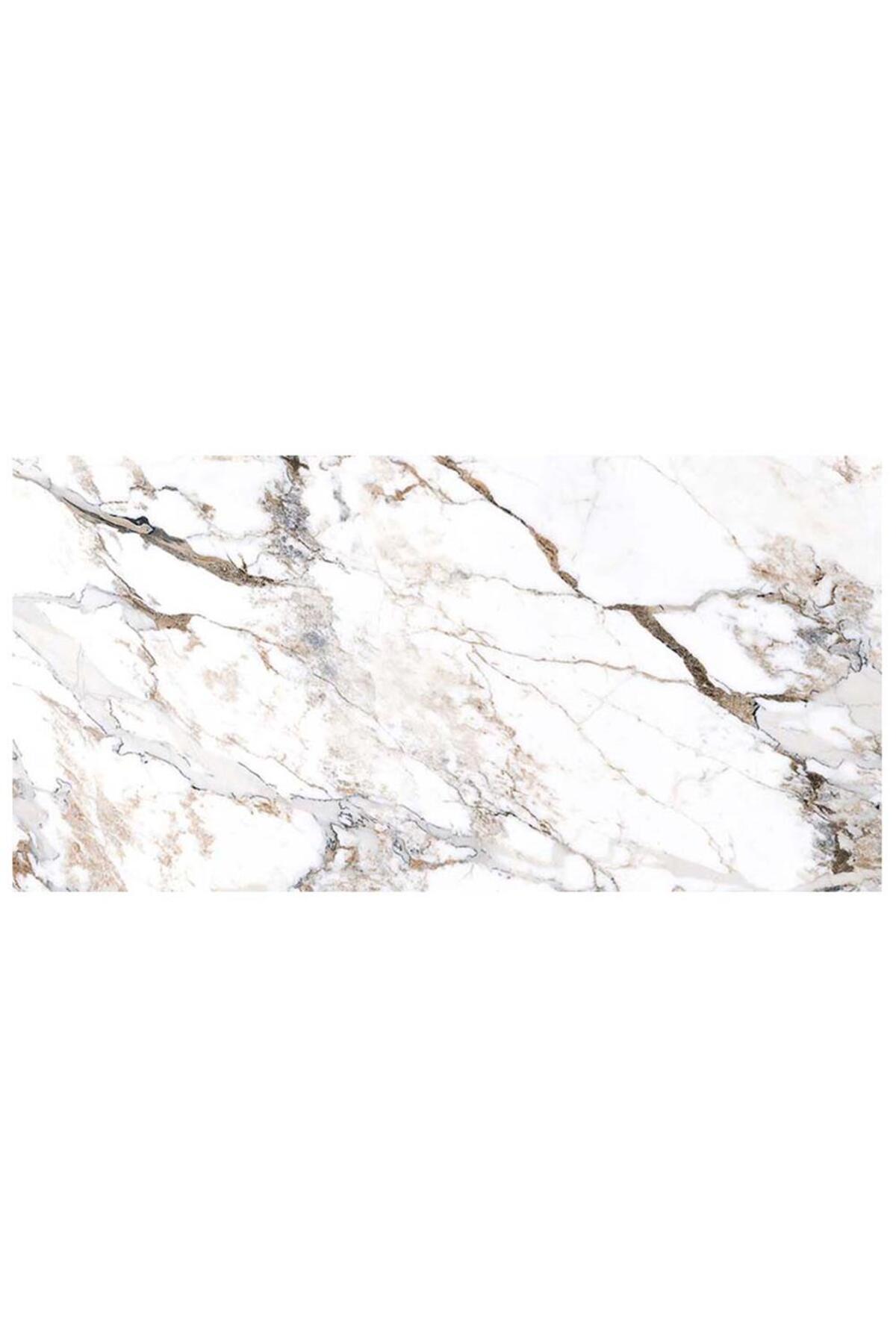 60x120 Marble-X Fon Beyaz Parlak Porselen Karo K949808FLPR1VTSP