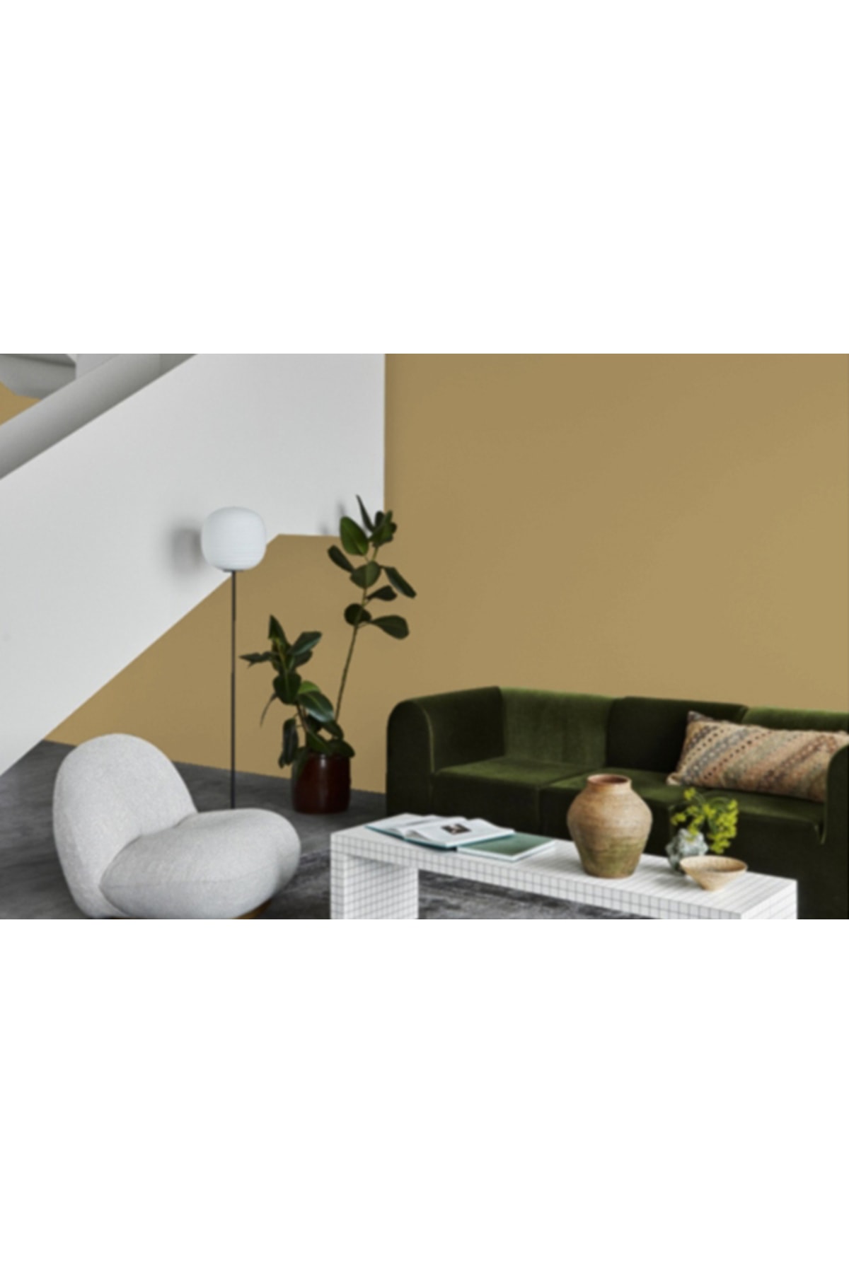 Limon Küfü 0288 Fenomastic Zen 2LT