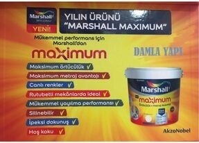 Maximum Su Bazlı Silinebilir Ipeksi Mat 2,5 Lt = 3,5 kg Sazlık