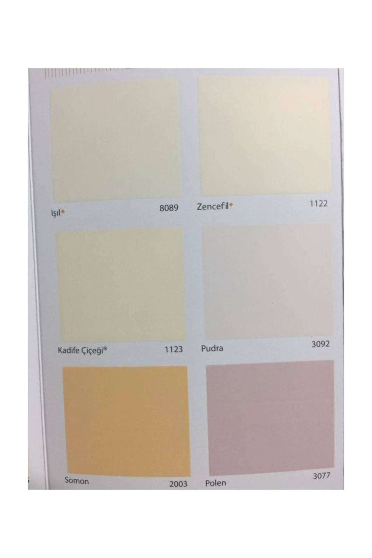 Plastik İç Cephe Boyası 20 Kg İstiridye Kremi