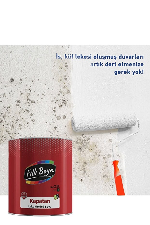 YENİ KAPATAN ÖZEL RUTUBET VE LEKE ÖRTÜCÜ BOYA 0,25 LT