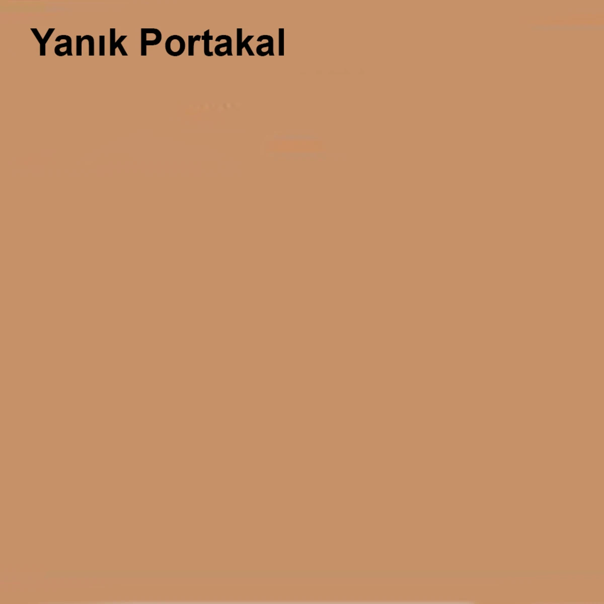 Pastel Yarı Mat Boyası Yanık Portakal 2,5 Lt (3,5 LT)
