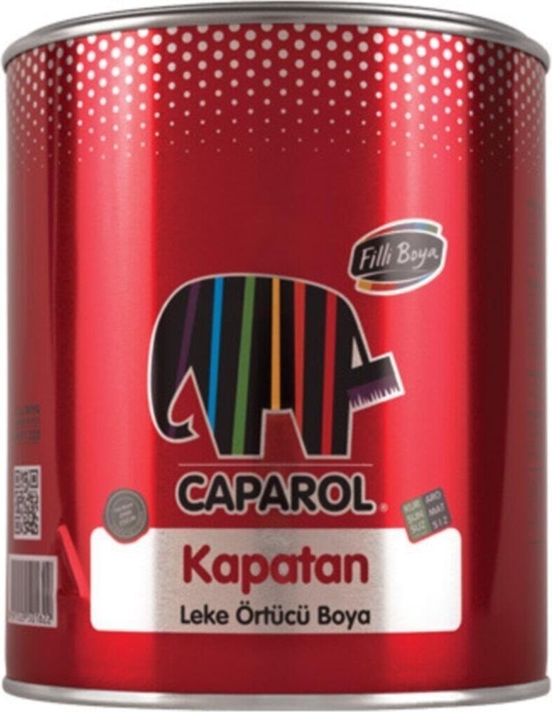 Leke Örtücü Sentetik Boya Kapatan 0,25 Litre ( Beyaz)
