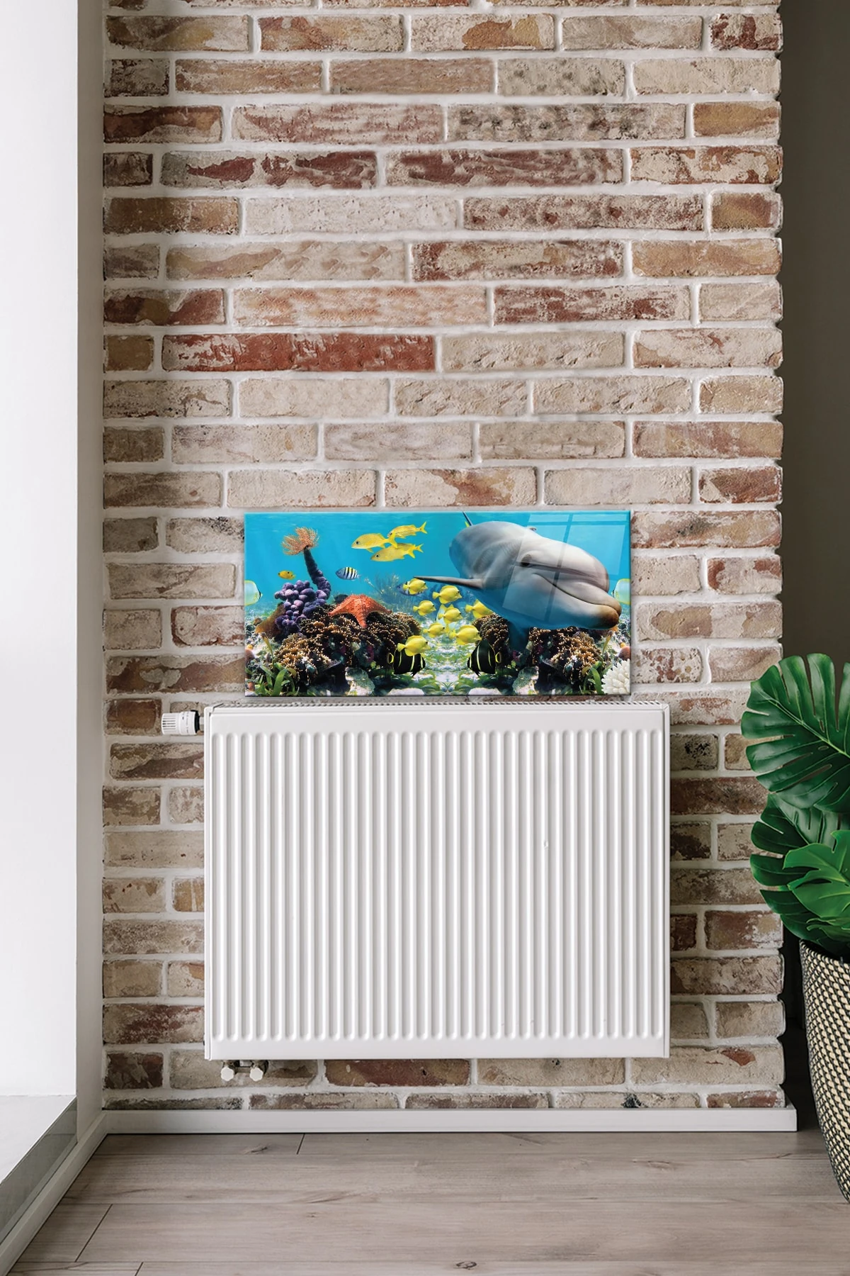 Petek Üstü Cam | Yunuslu Akvaryum | 40cm X 80cm