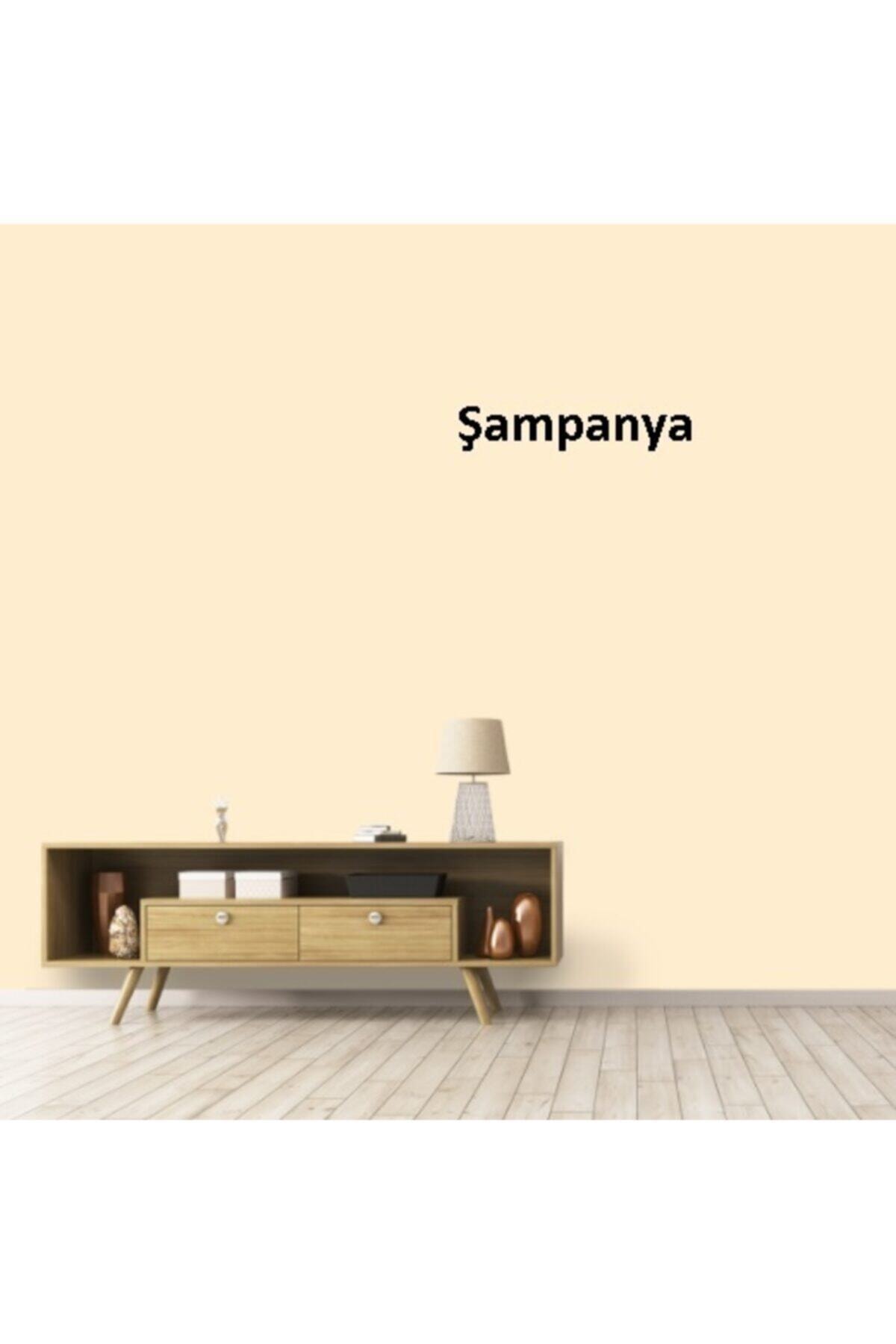 Momento Silan 2.5lt Renk: Şampanya