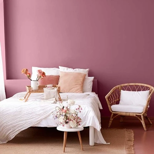 Tek Katta Örten Boya Petunya