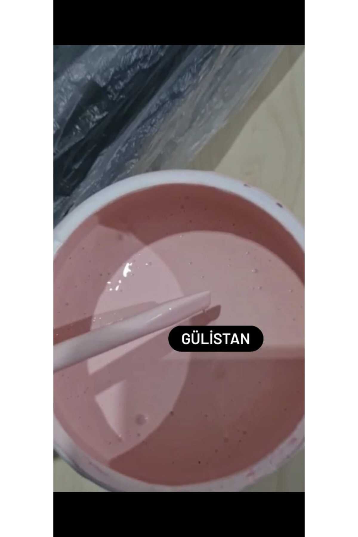 Stella Su Bazlı Saf Akrilik Boya 500ml - Gülistan