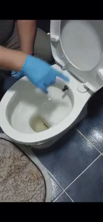 Krom 4 Adet Taharat Çubuğu Ucu Plastik Krom Taharet Borusu Ucu Perletörü Aparatı