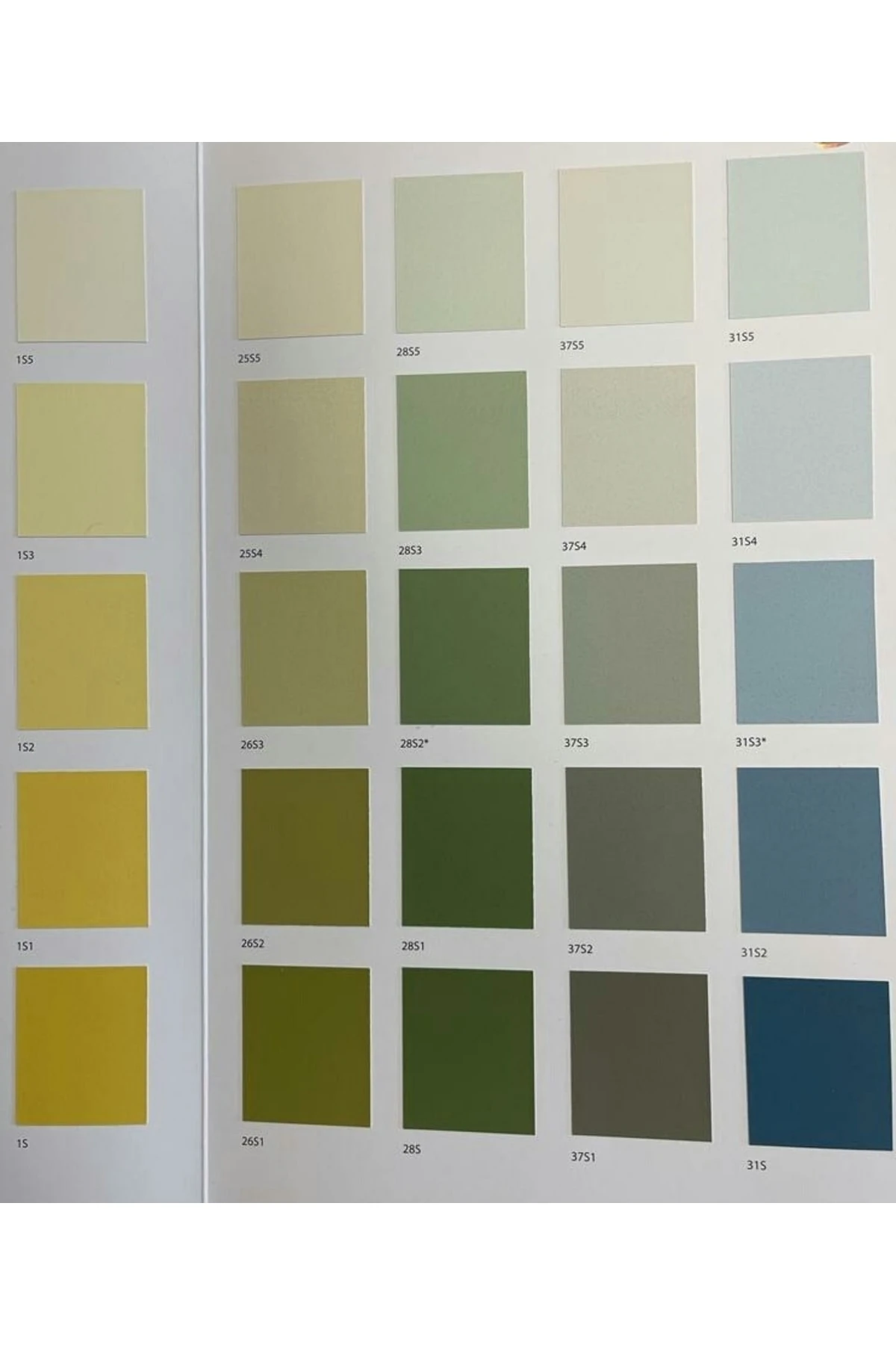 Filli Agusto Silan Silikonlu Dış Cephe Boyası