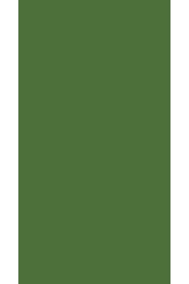 Aqua Pro RAL 6010 Grasgrün Metal Boyası 2,25 LT