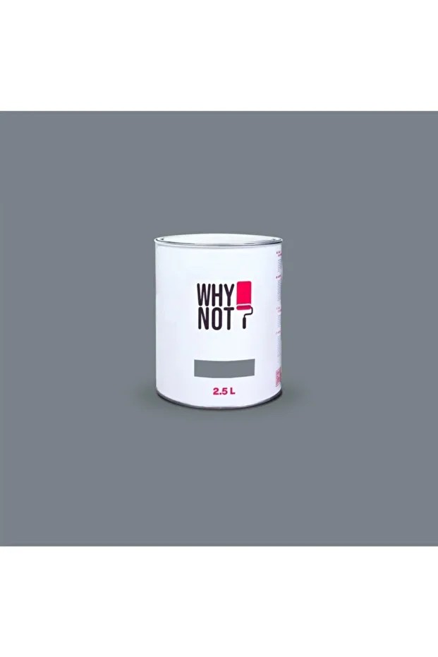 Whynot? Duvar Boyası Modern Feel