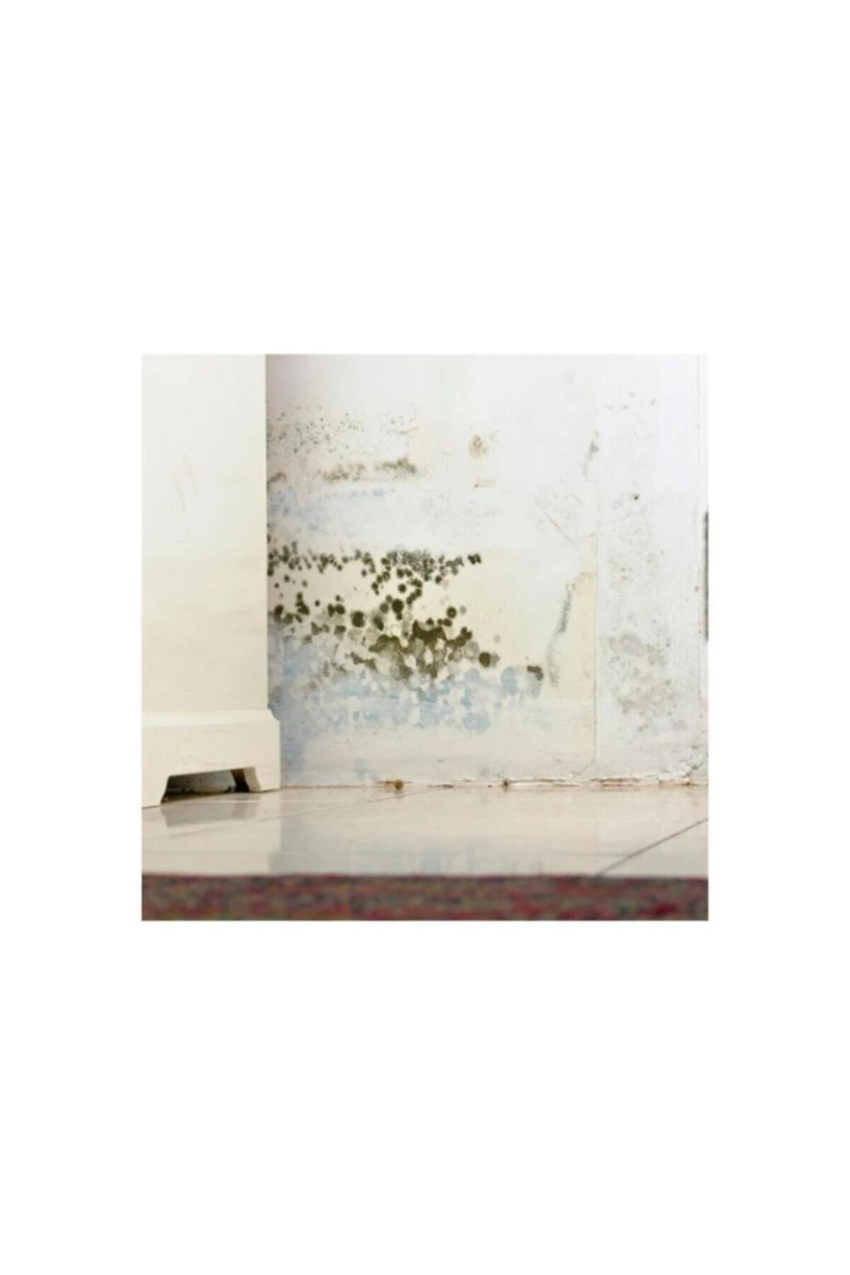 Nem Alıcı  200 g 1 Adet Rutubet Önleyici Tablet