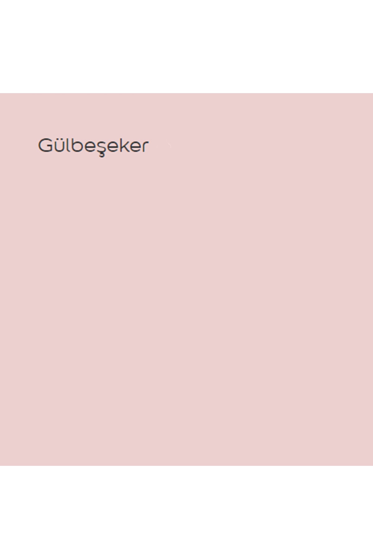 Antibakteriyel Hijyen Ipek Mat Iç Cephe Boyası Gülbeşeker 2,5 Lt (3,5 KG)