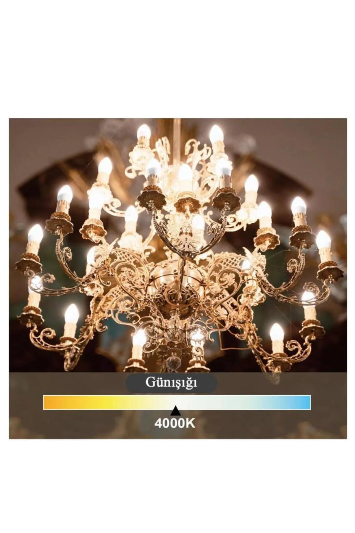 4,9W (40W) Led Mum Ampul Günışığı - 4000K E14