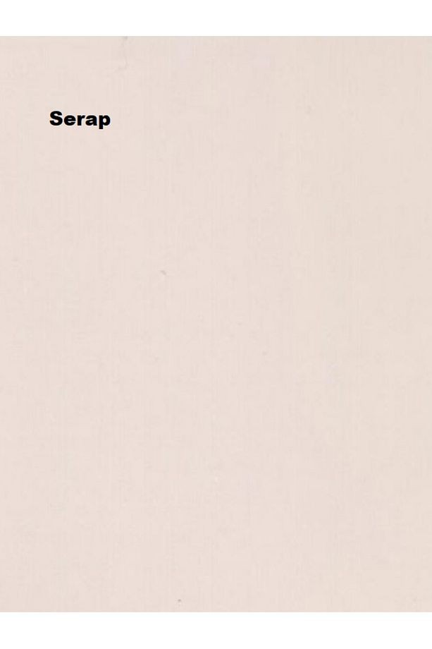 Plastik Mat Silinebilir Iç Cephe Boyası Serap 15 Lt (20 Kg)
