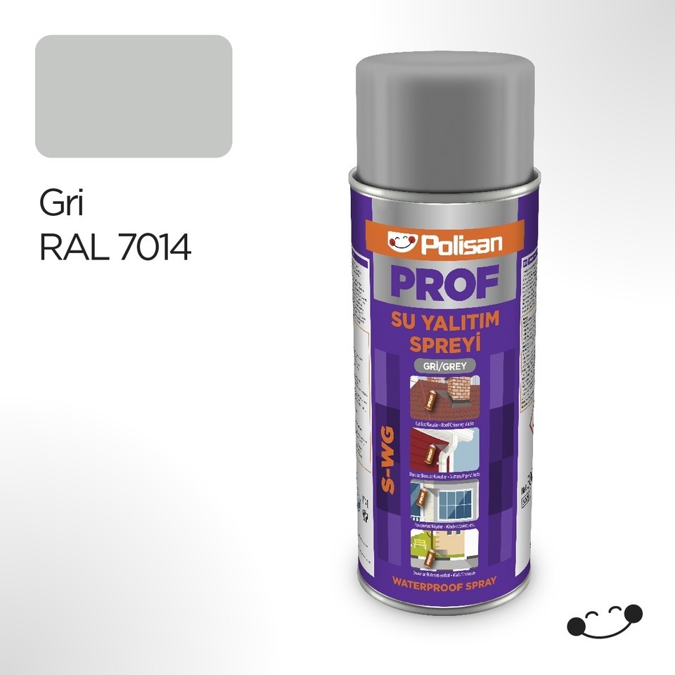 Prof Gri Su Yalıtım Spreyi (S-Wg) 500 ml