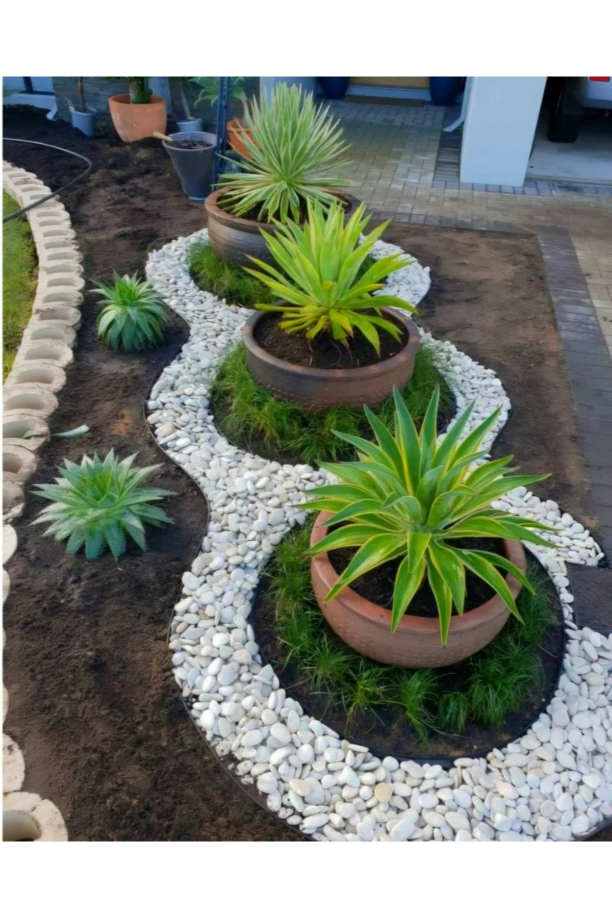 Probinder Dekoratif Amaçlı Taş, Çakıl Ve Kabuk Bağlayıcı Solüsyon 10 Kg