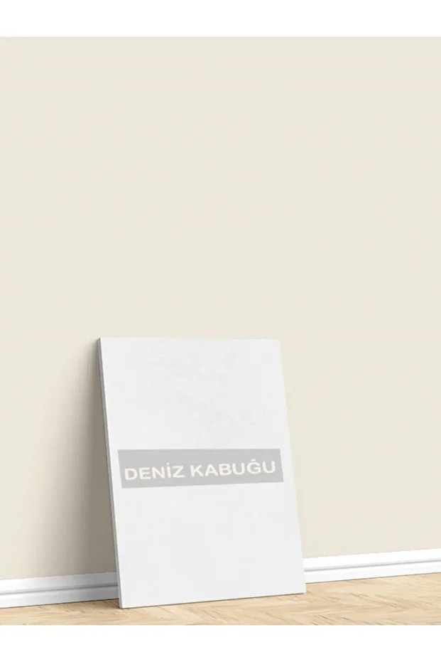 MAXİMUM SİLİKONLU SİLİNEBİLİR BOYA