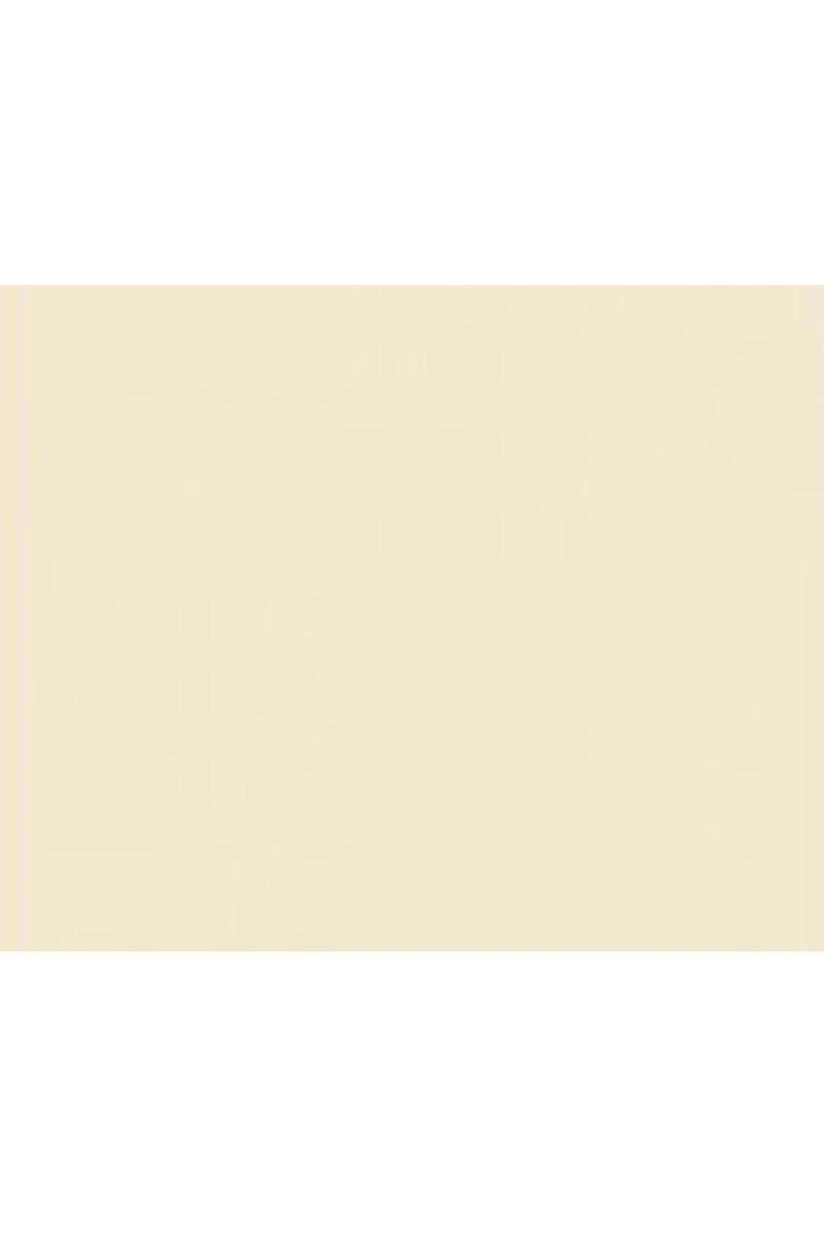 Silikonlu Özel Mat 2,5 lt Şeftali Aroma Rengi Boya