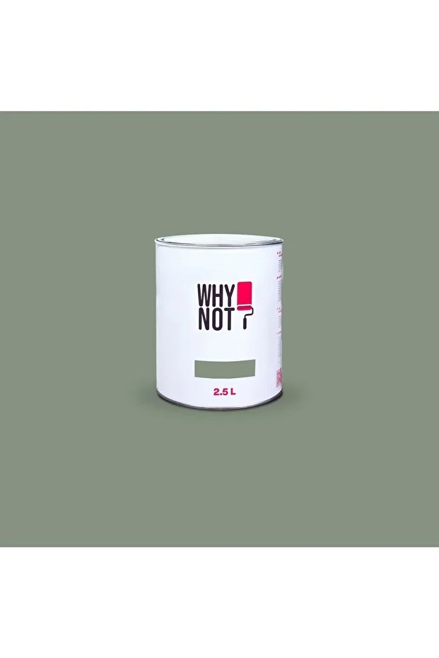 Whynot? Duvar Boyası Sage