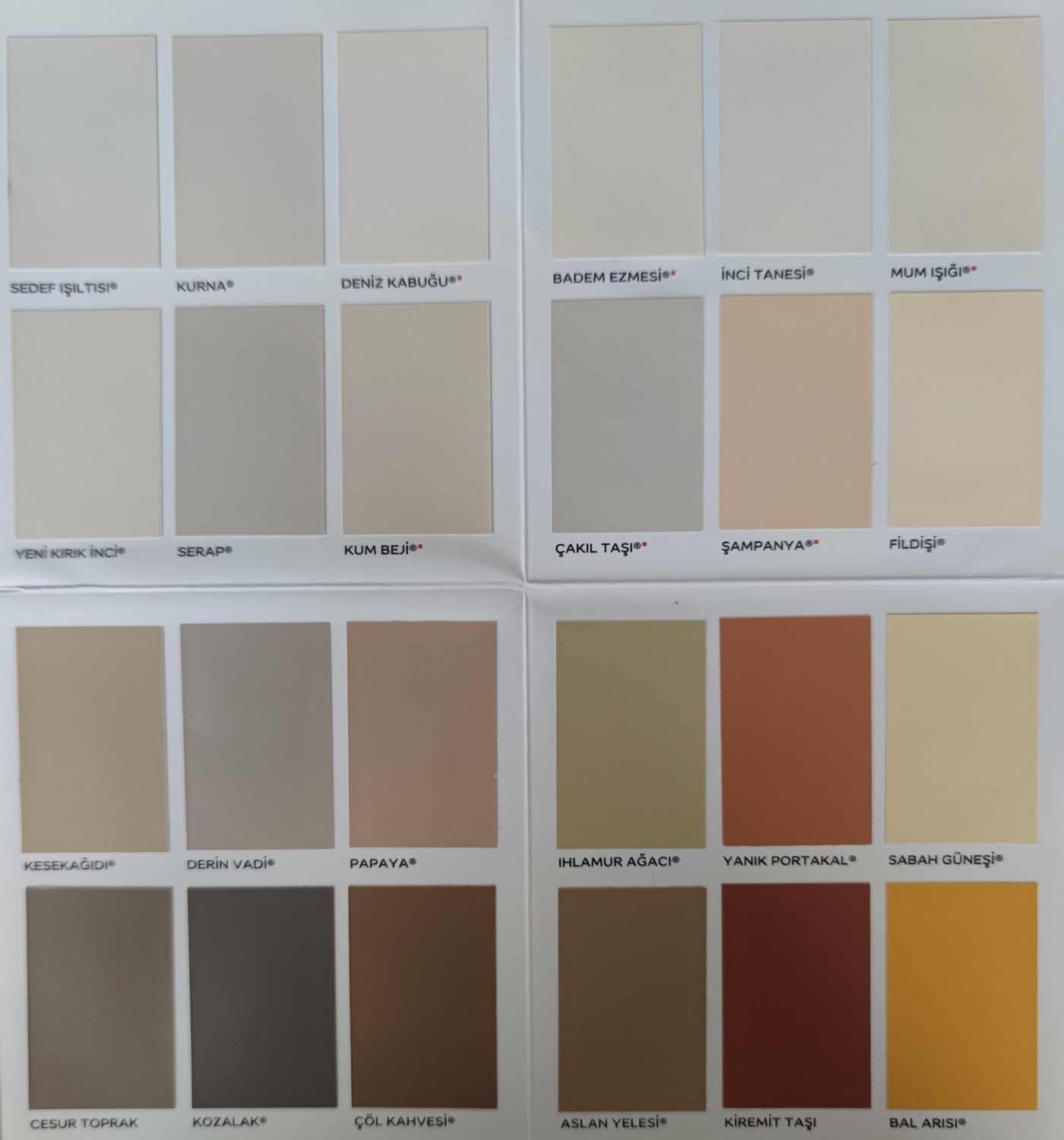 Panel Kapı Boyası ve Boyama Seti 2,5l.