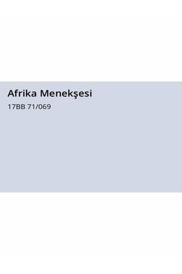 Silikonlu Özel Mat Afrika Menekşesi 15 Lt (20 Kg)