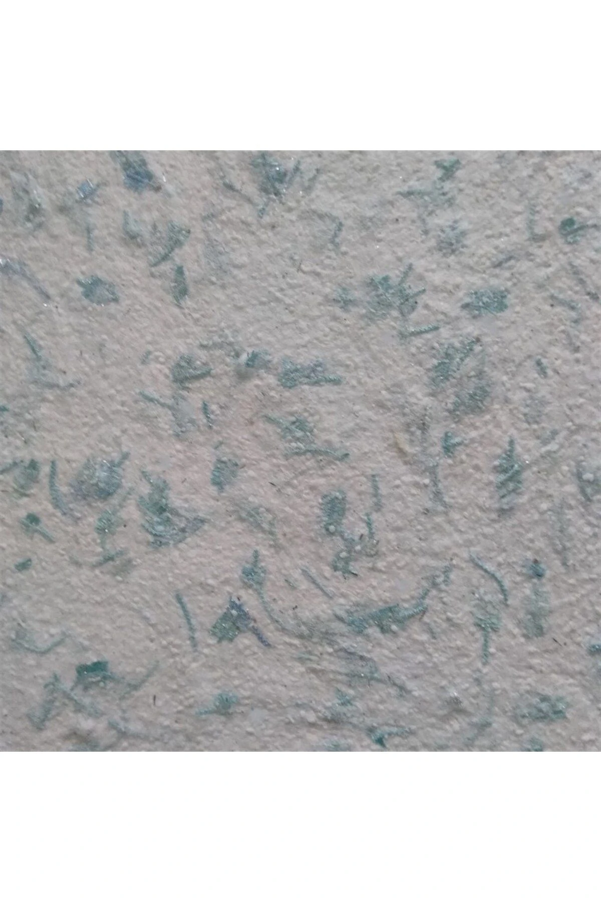 Canlı Sıva Dekorasyon ve Yalıtım Sıvası Londra 4012