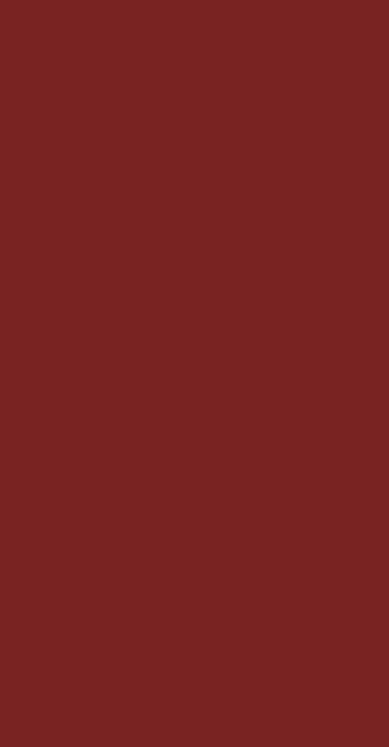 JOTUN Aqua Pro Ral 3031 Orientrot Metal Boyası 0,9 Lt