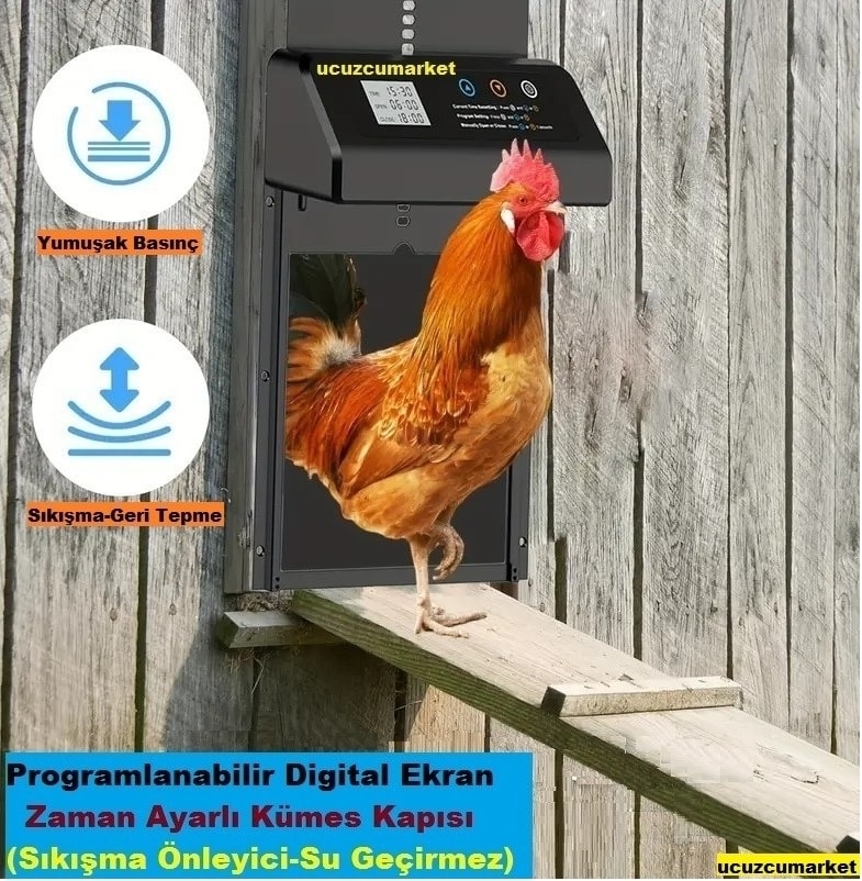 Zaman Ayarlı Programlanabilir Dijital Ekranlı Kümes Kapısı (Sıkışma Önleyici -Su Geçirmez)
